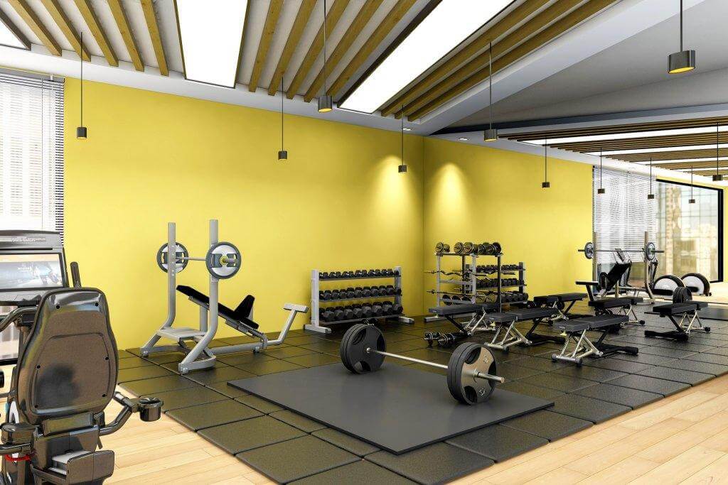 Modern gym interior with fitness equipment and free weights