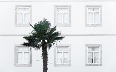 Weatherboard Care in Wahroonga: Ventilation, Gaps, and Timber Protection